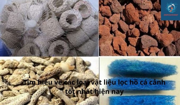 Tìm hiểu về các loại vật liệu lọc hồ cá cảnh tốt nhất hiện nay Tìm hiểu về các loại vật liệu lọc hồ cá cảnh tốt nhất hiện nay